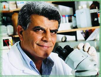 Prof. Avraham Ben-Nun. selectively targettin the immune system